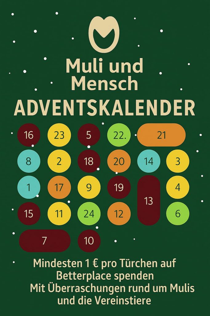Adventskalender 2025